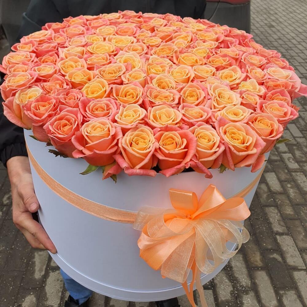 Акция! 101 персиковая роза 50 см, Голландия