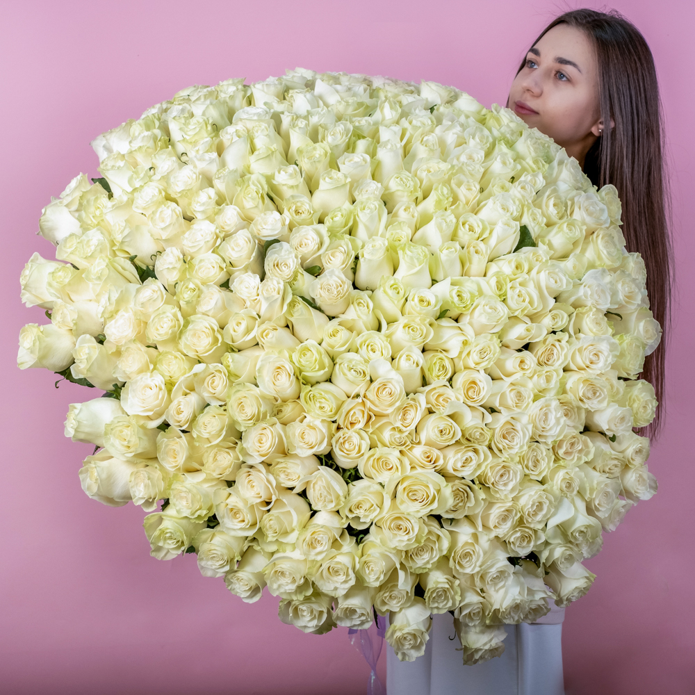 Букет из 3 белых роз в пленке с белой лентой, 40 см, Россия